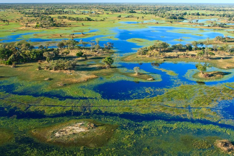 9 Nights Okavango Safari