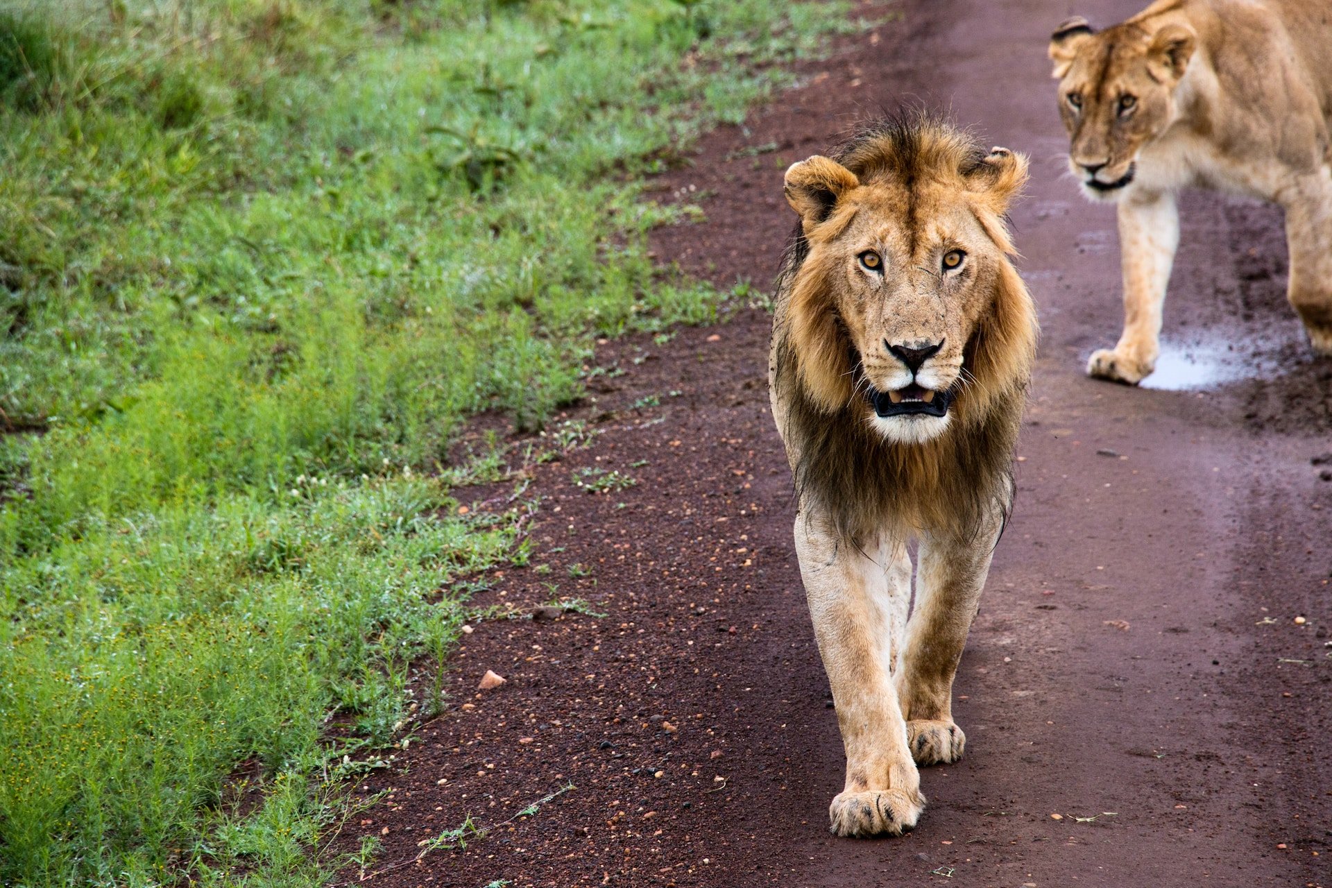 Hunting Package in South Africa