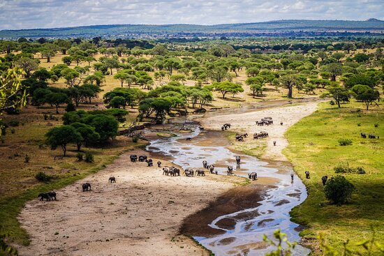 Sky safari Tanzania