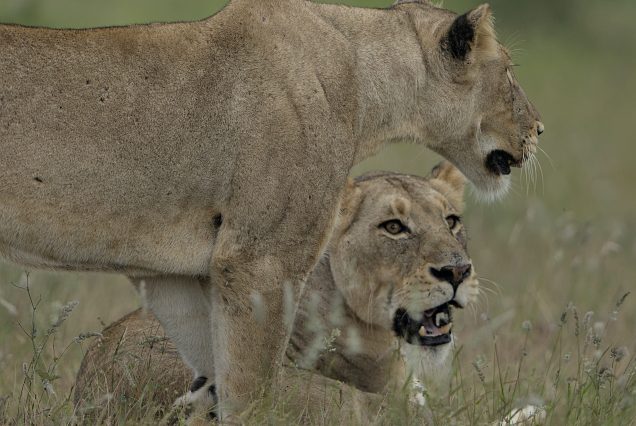 EXPLORE SOUTH AFRICA