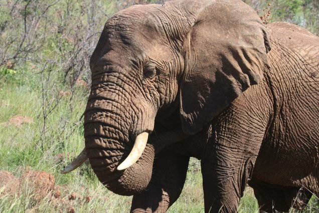 YOUR FAMILY ADVENTURE IN KENYA