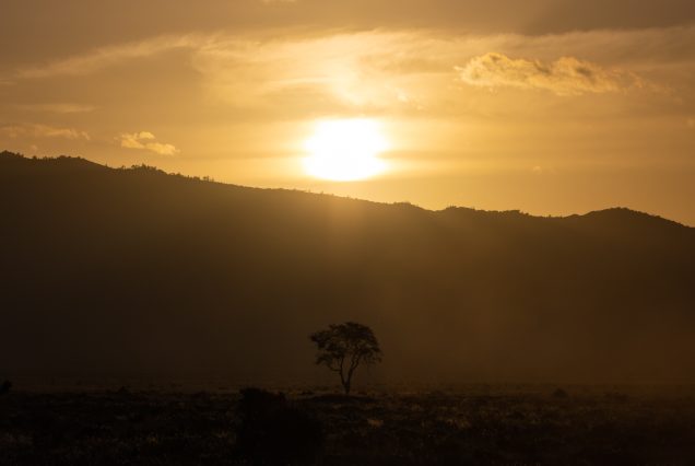 TSAVO EAST & WEST 2 NIGHTS PACKAGE