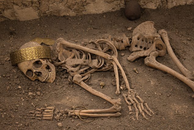 FOSSIL HUNTING IN KENYA