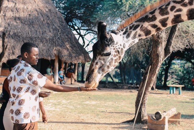 FULL DAY ESCURSION IN NAIROBI