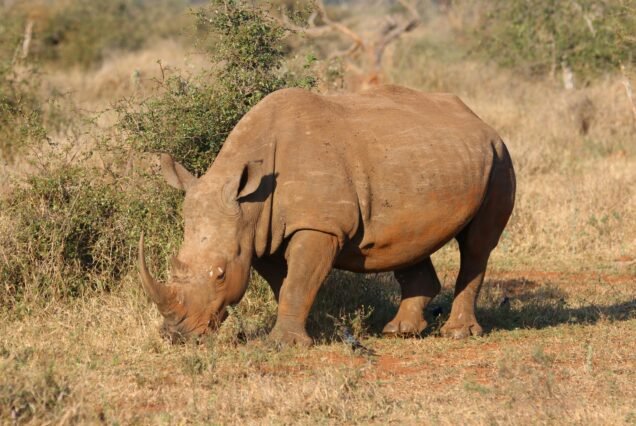 Arusha National Park