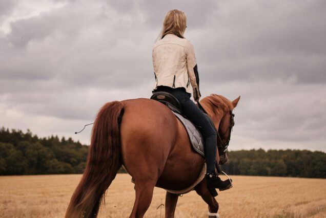 LAIKIPIA RIDE