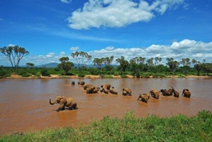 9-Day Wilderness & Wonders of Kenya Safari