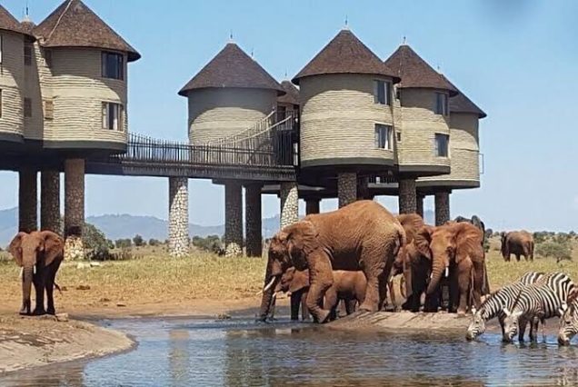 Taita Hills Wildlife Sanctuary & Mombasa (05days/04nights)