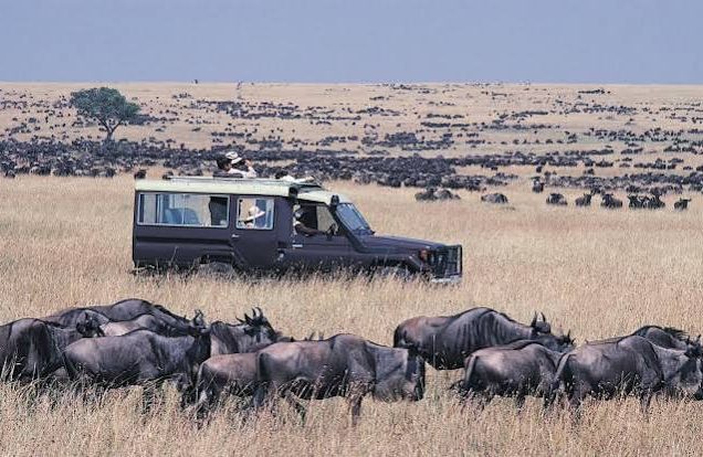 Maasai Mara Game Reserve, Lake Naivasha, Amboseli National Park, Tsavo West National Park & Tsavo East National Park (10days/09nights)