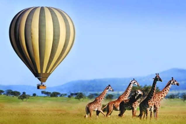 Lake Nakuru National Park & Masai Mara Game Reserve (04days/03nights)